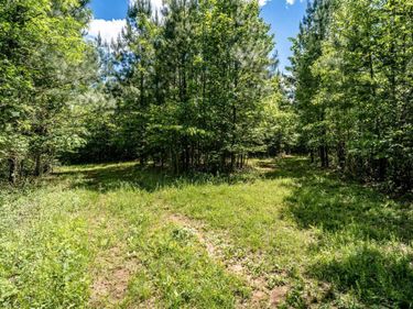 Lot 2 GREEN CREEK RD, SCHUYLER, VA 22969