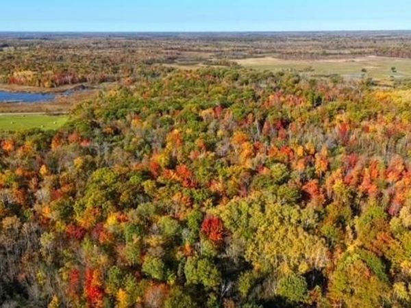 TBD Skyview Street, Brook Park, MN 55007