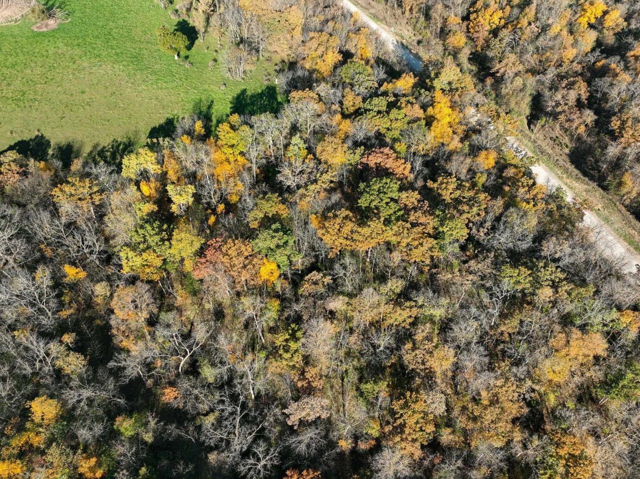 Tbd Bear Creek Drive, Dorchester, IA 52140 Main Photo