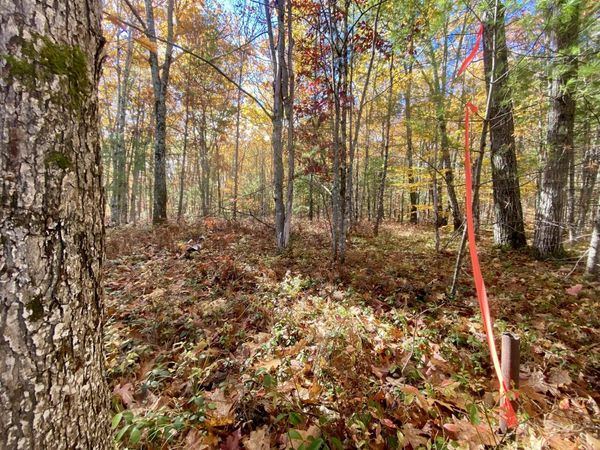 00 Cottage Lane, Brownfield, ME 04010