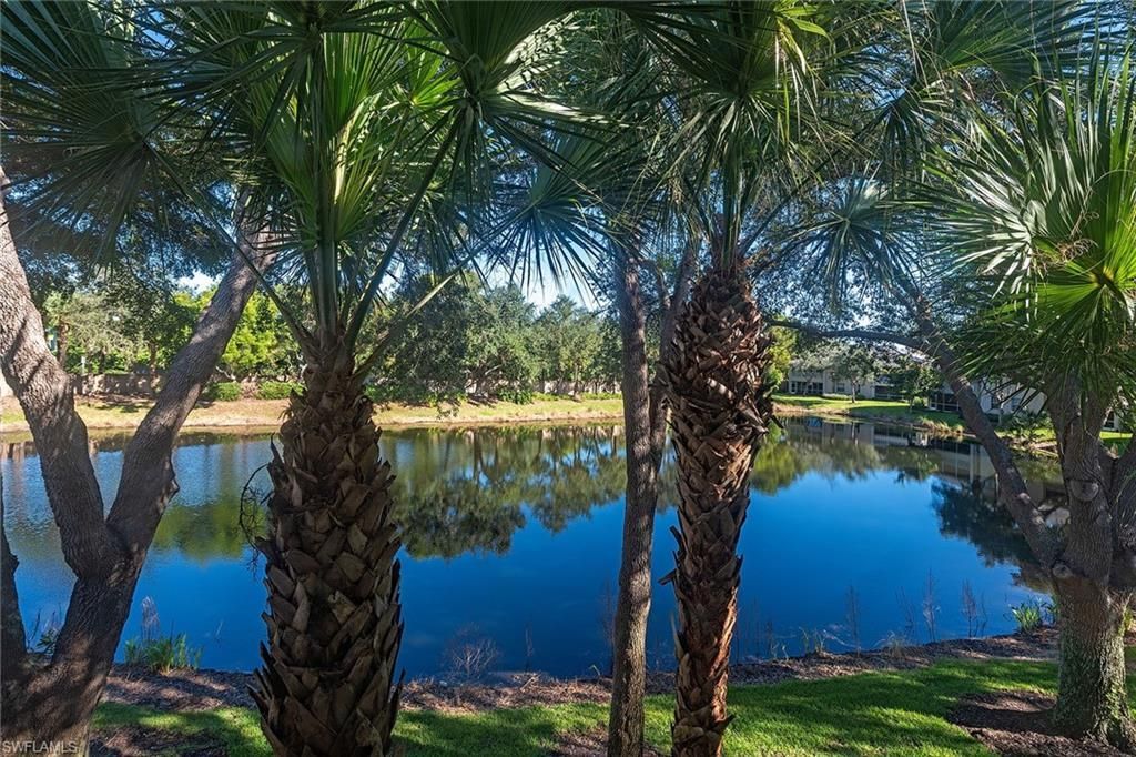 7115 Wild Forest Ct, Unit 201, Naples, FL 34109 Photo