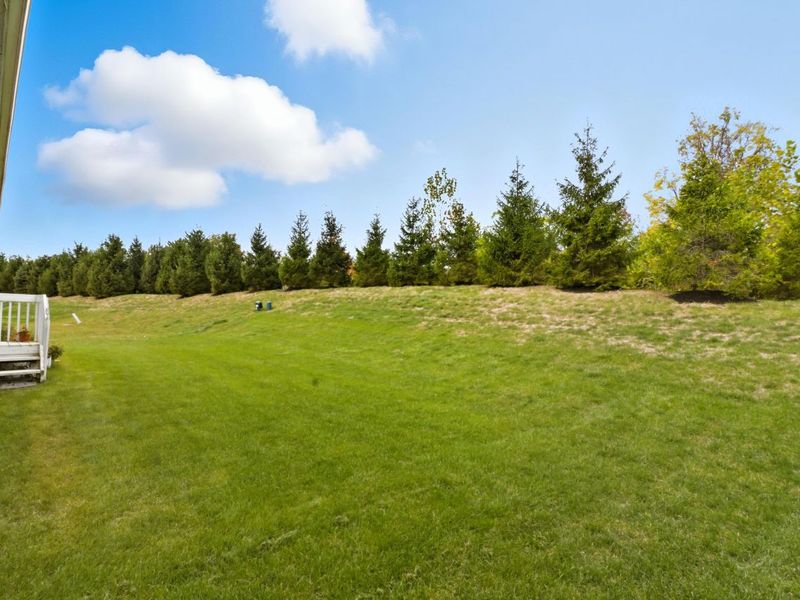 4527 Mcalister Park Drive, Westerville, OH 43082 Photo 46