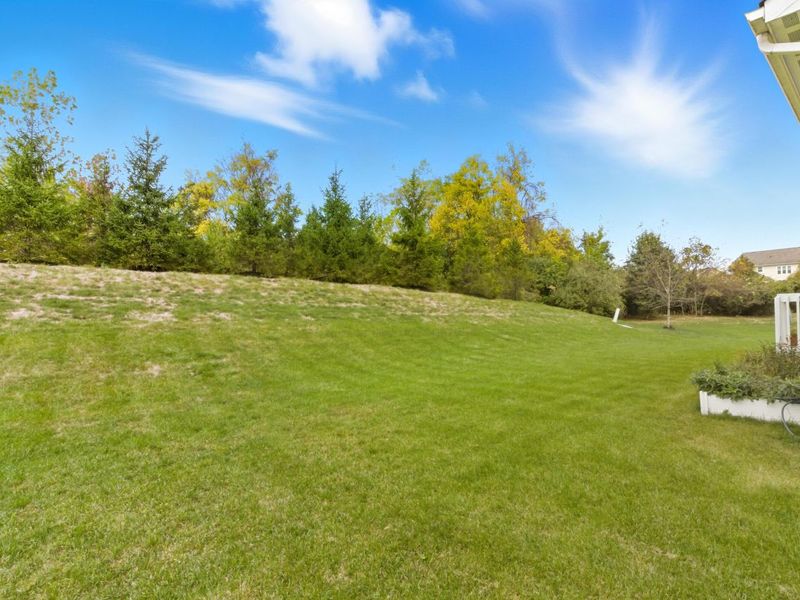 4527 Mcalister Park Drive, Westerville, OH 43082 Photo 51