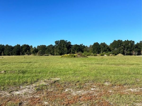 38793 RANCH GATE BOULEVARD, UMATILLA, FL 32784