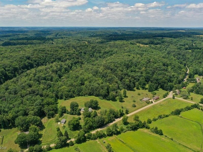 1728 Tall Timber Road NE, New Philadelphia, OH 44663 Photo 13