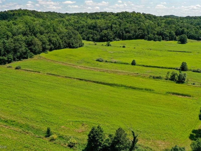 1728 Tall Timber Road NE, New Philadelphia, OH 44663 Photo 37