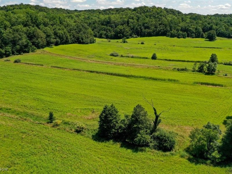 1728 Tall Timber Road NE, New Philadelphia, OH 44663 Photo 38