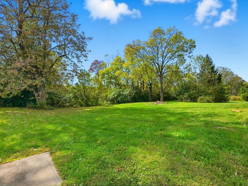 169 E Main Street, Donnelsville, OH 45319 Photo 59