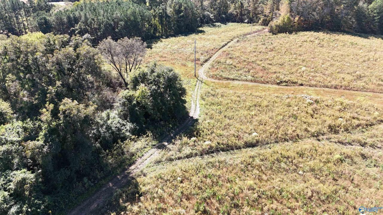 004 County Road 70, Sand Rock, AL 35961 Main Photo