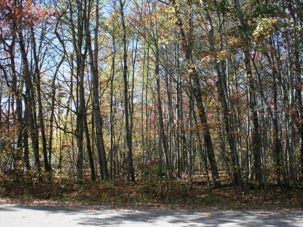 Lot 171 Englewood Drive, Roscommon, MI 48653