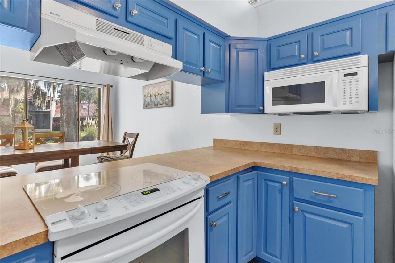 401 Clusterwood Drive, Yalaha, FL 34797 Photo