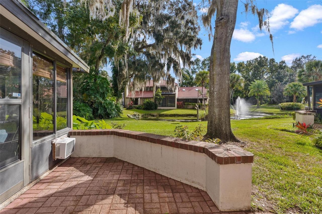 401 Clusterwood Drive, Yalaha, FL 34797 Photo