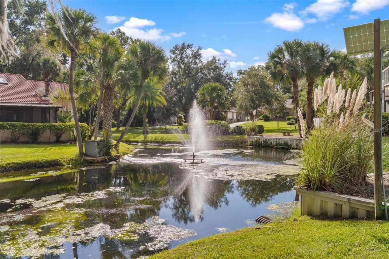 401 Clusterwood Drive, Yalaha, FL 34797 Photo