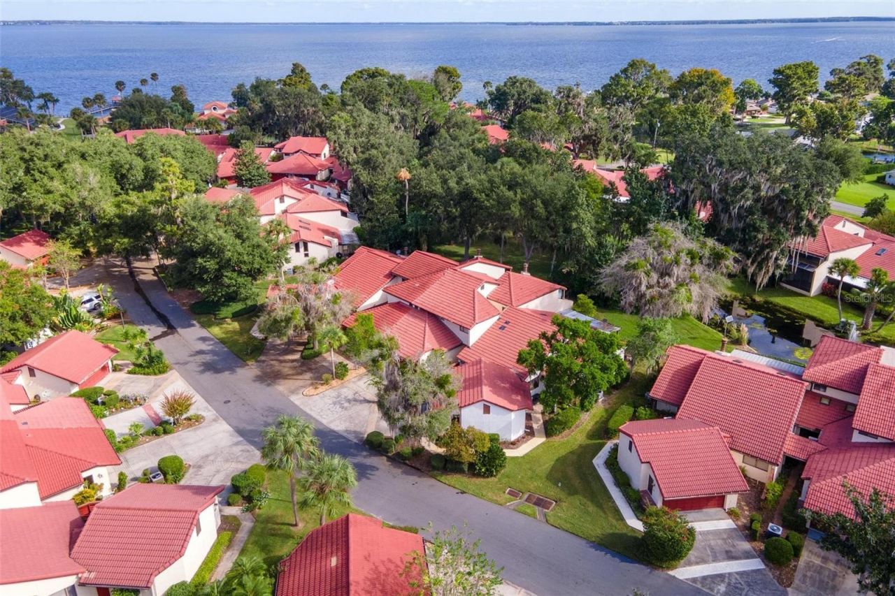 401 Clusterwood Drive, Yalaha, FL 34797 Photo