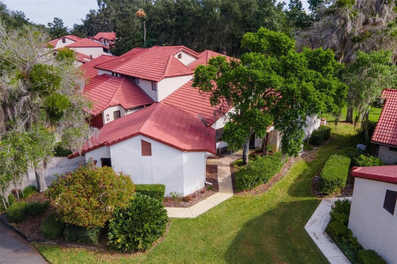 401 Clusterwood Drive, Yalaha, FL 34797 Photo