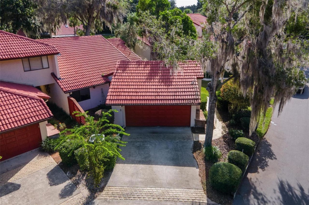 401 Clusterwood Drive, Yalaha, FL 34797 Photo