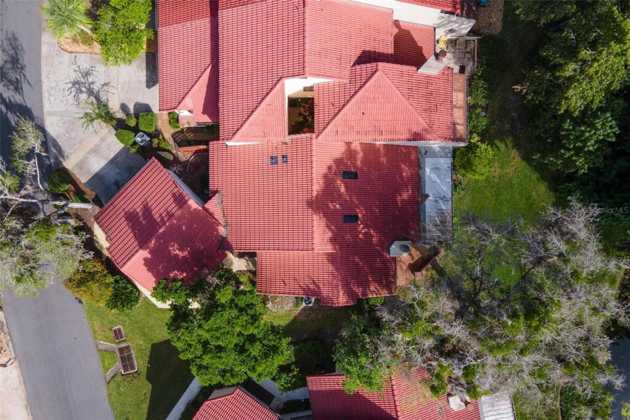 401 Clusterwood Drive, Yalaha, FL 34797 Photo