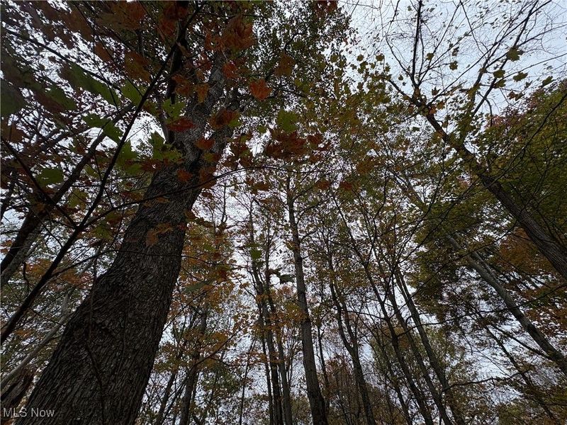 33855 State Route 800, New Matamoras, OH 45767 Photo 25