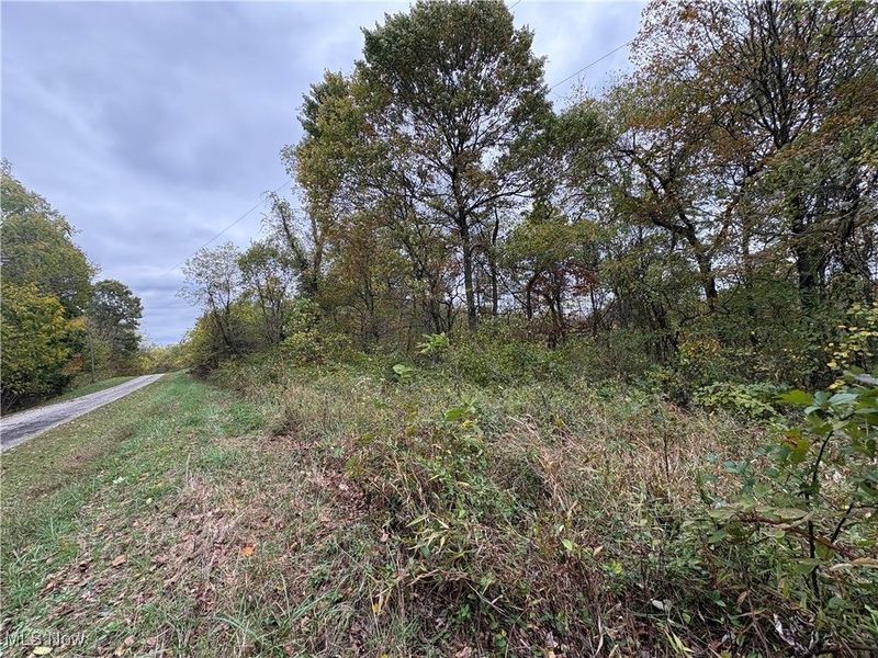 33855 State Route 800, New Matamoras, OH 45767 Photo 27