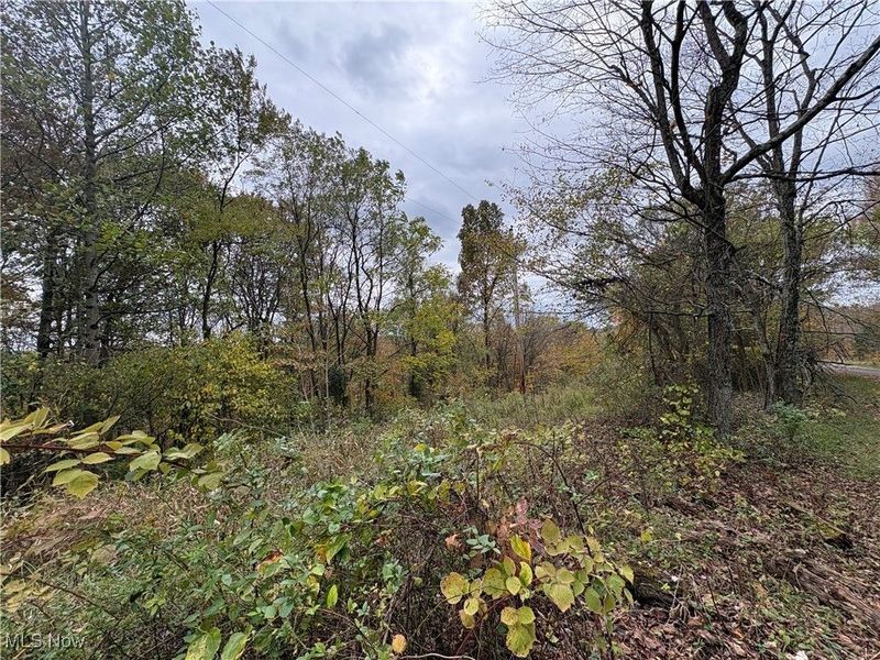 33855 State Route 800, New Matamoras, OH 45767 Photo 28