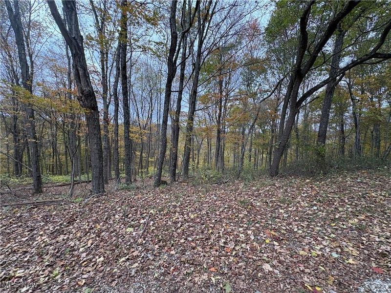 33855 State Route 800, New Matamoras, OH 45767 Photo 29