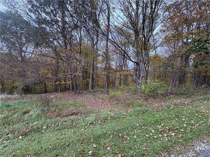 33855 State Route 800, New Matamoras, OH 45767 Photo 30