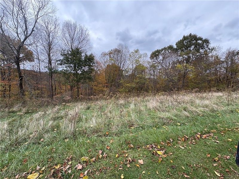 33855 State Route 800, New Matamoras, OH 45767 Photo 31