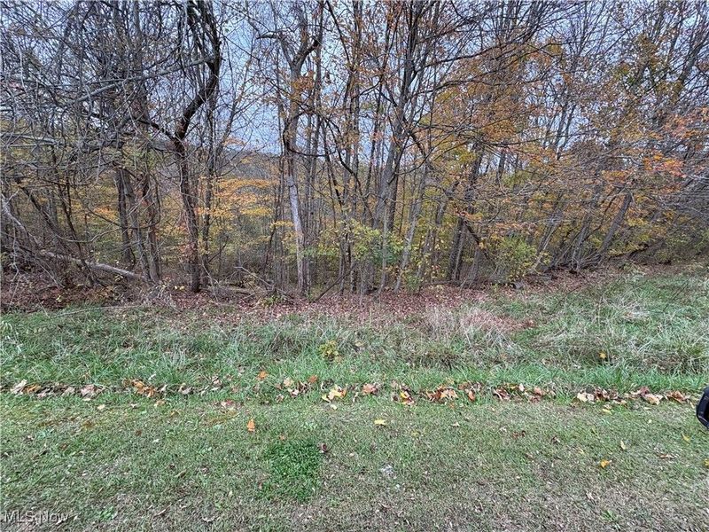 33855 State Route 800, New Matamoras, OH 45767 Photo 32