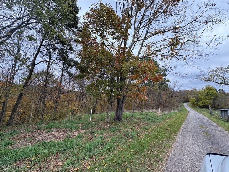 33855 State Route 800, New Matamoras, OH 45767 Photo 33