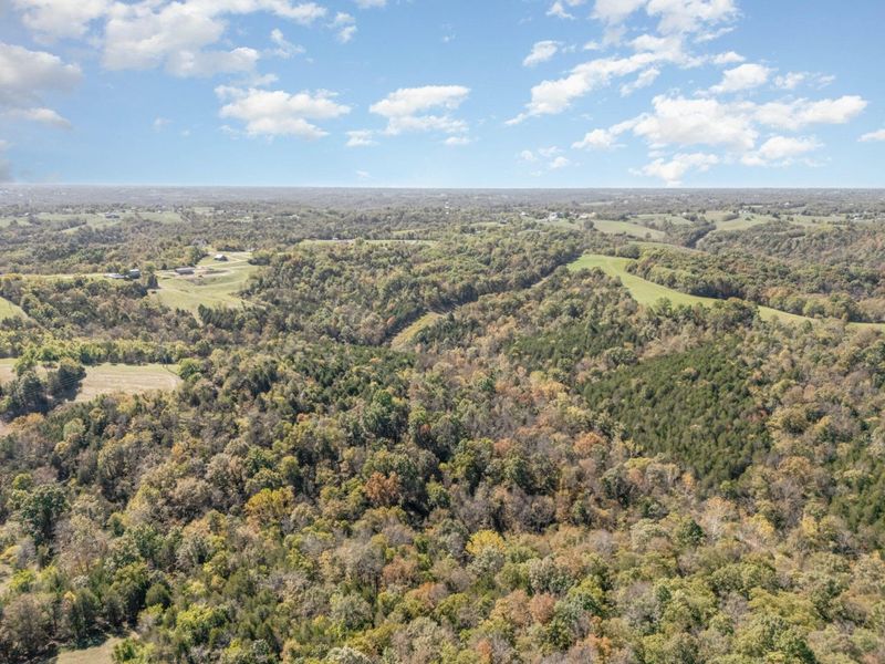 2408 Highway 491, Demossville, KY 41033 Photo 10