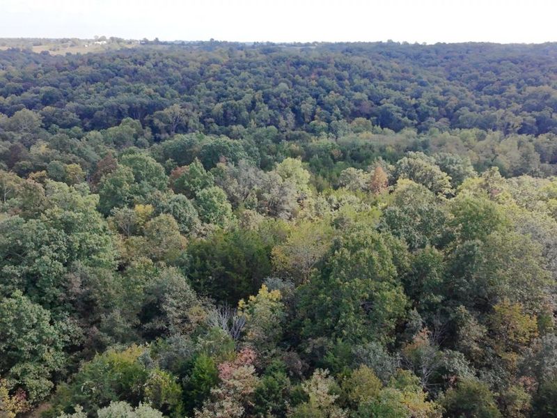 2408 Highway 491, Demossville, KY 41033 Photo 13