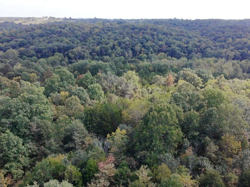 2408 Highway 491, Demossville, KY 41033 Photo 14