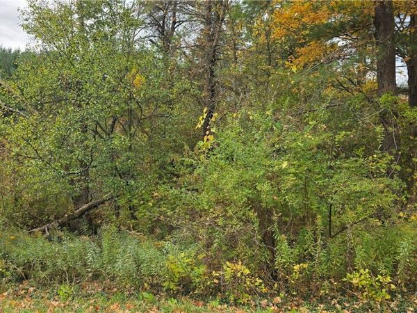 217 Bowen Road, East Aurora, NY 14052