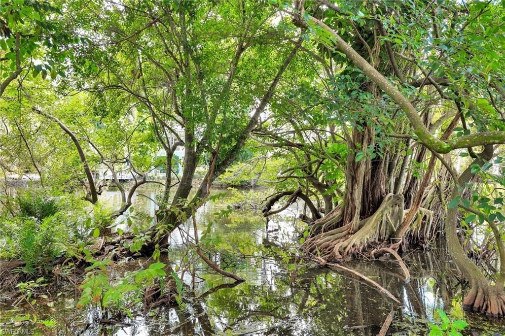 2515 Royal Palm Ct, Naples, FL 34103 Photo