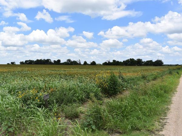 TBD County Road 109, Buckholts, TX 76518