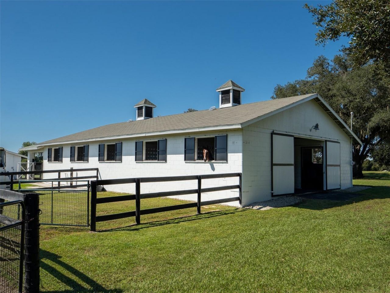 15939 NW 162nd Terrace, Williston, FL 32696 Photo