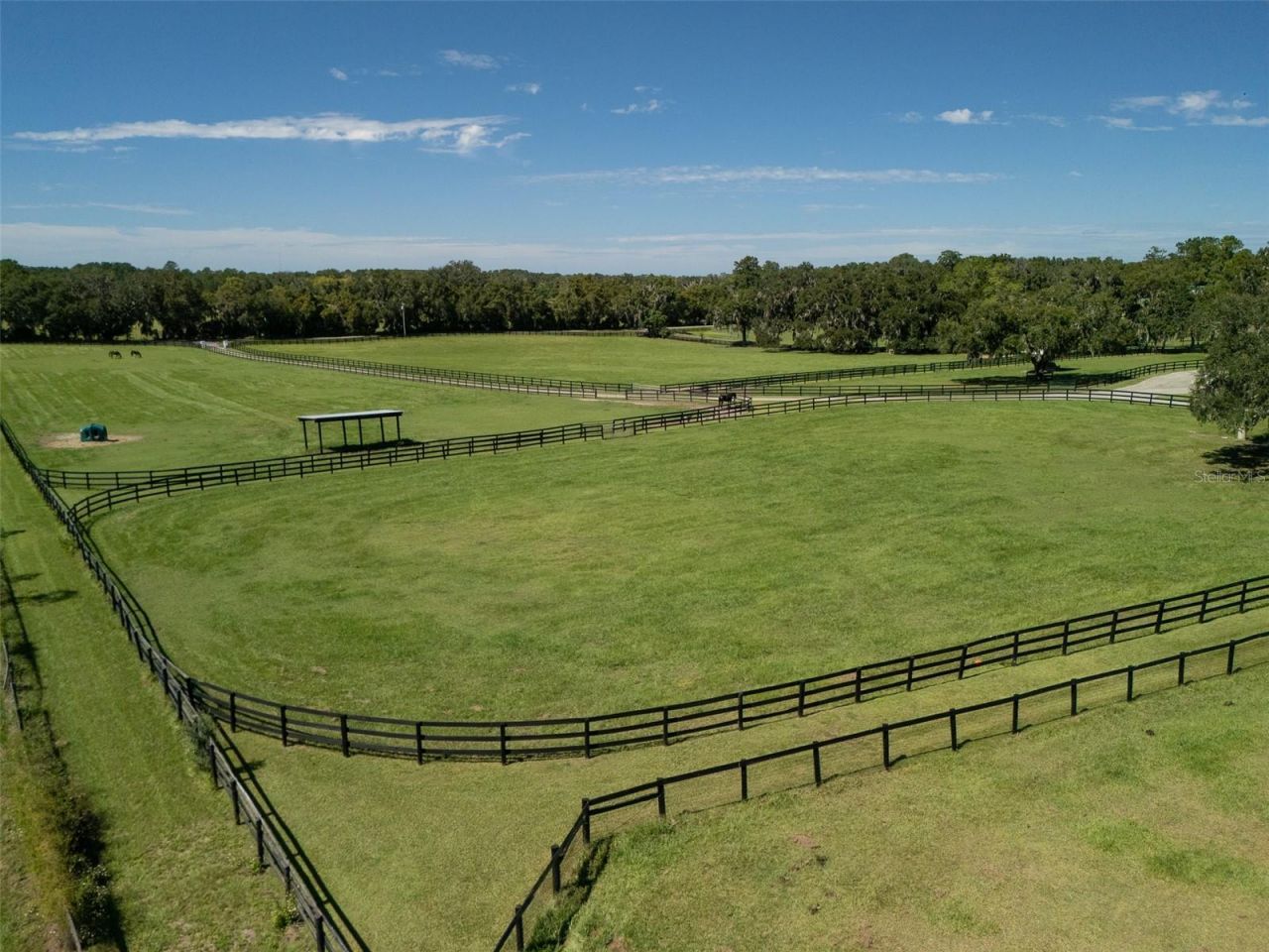 15939 NW 162nd Terrace, Williston, FL 32696 Photo