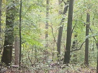 1417 Poinsett Drive, Chapel Hill, NC 27517