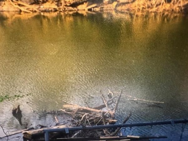 0000 Bream Blf, Athens, AL