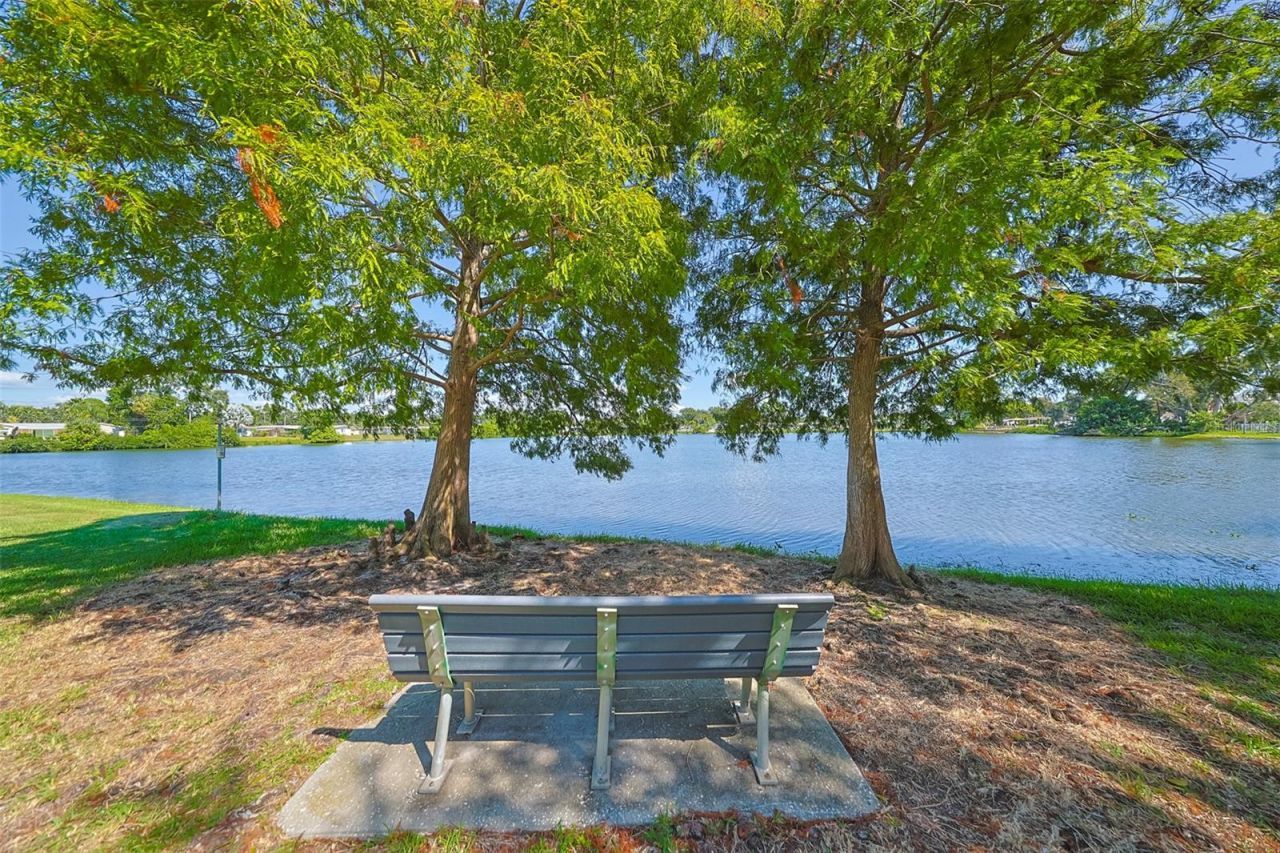 1507 76th Avenue N, Saint Petersburg, FL 33702 Photo