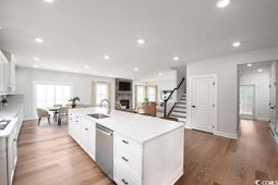 2008 Viola Loop photo 4