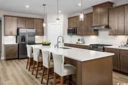 2008 Viola Loop photo 4