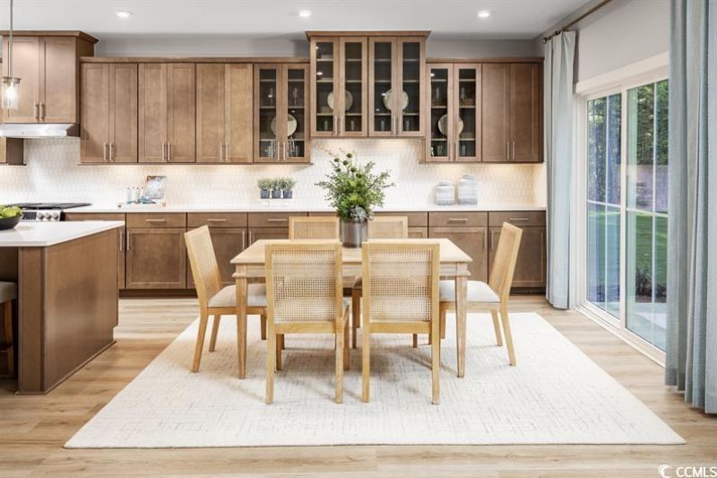 2008 Viola Loop Photo 7