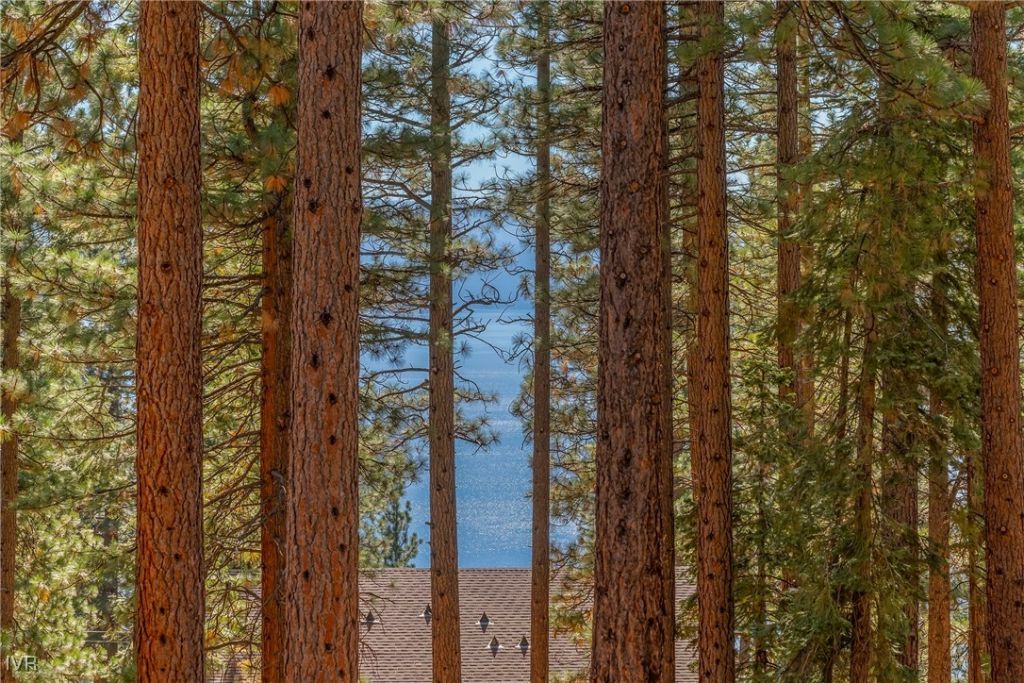 563 Tyner Way, Incline Village, NV 88945 Photo