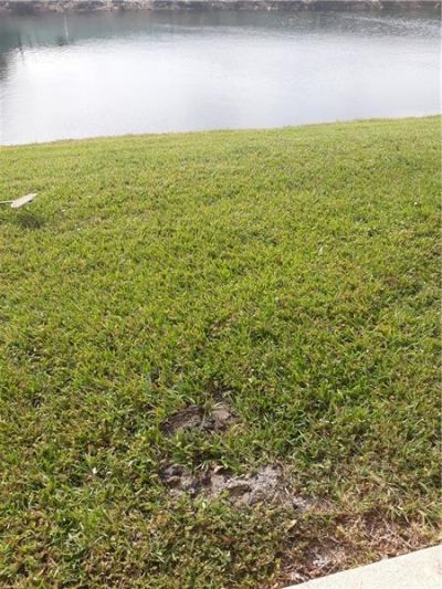 9082 Plymouth Pl, Unit 9082, Tamarac, FL 33321 Photo