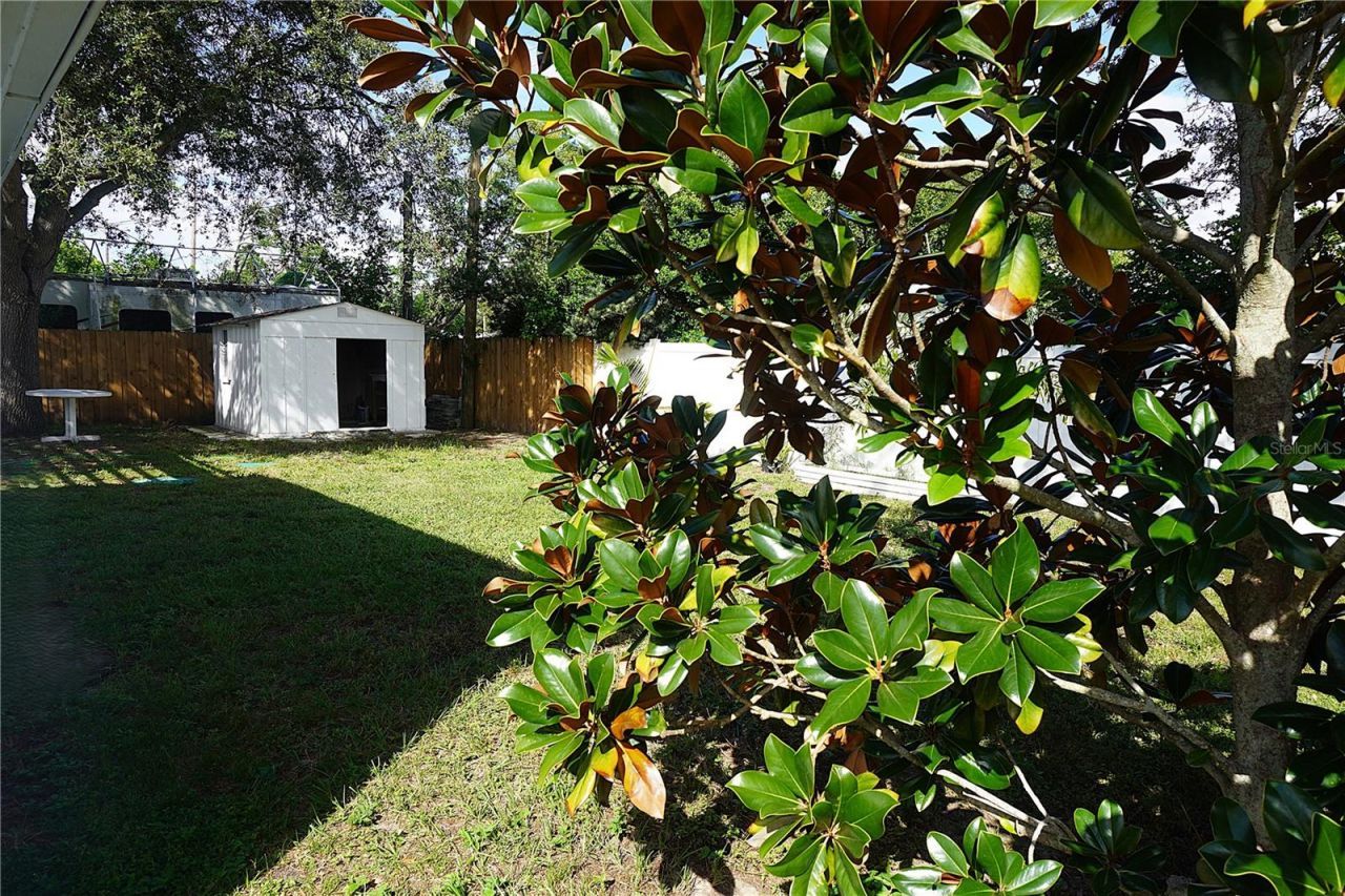 1408 Jennings Drive, Holiday, FL 34690 Photo