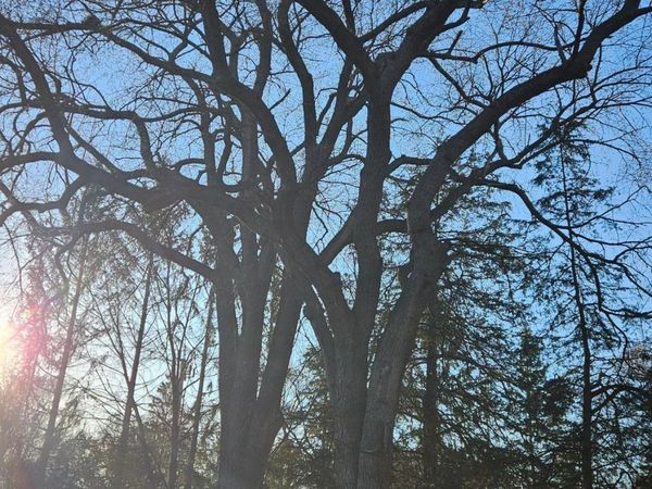 5920 Hodgson Road, Shoreview, MN 55126