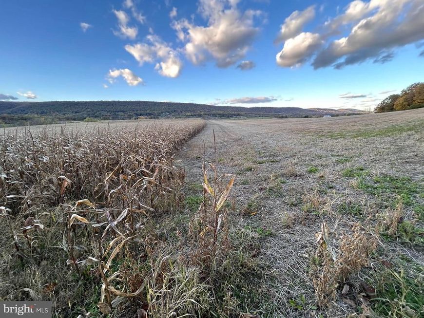 Lot #2 Linden Hall Road, Boalsburg, PA 16827 Main Photo