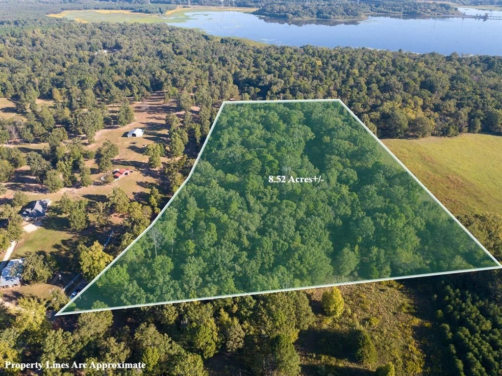 1 County Road 2600, Mount Pleasant, TX 75455 Main Photo