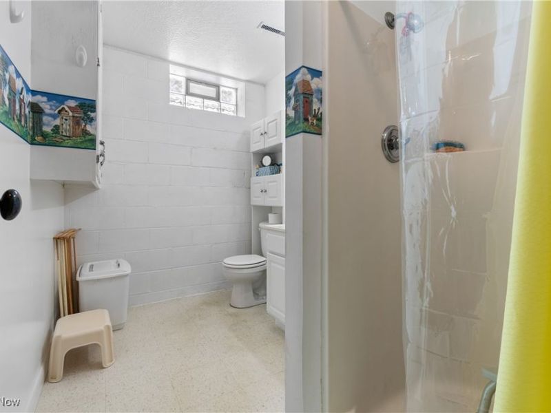 9732 Erie Avenue SW, Beach City, OH 44608 Photo 33